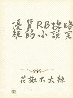 优质RB攻略系统的小说完整版