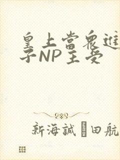 皇上当众进入太子NP主受