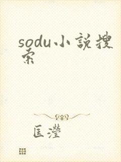 sodu小说搜索