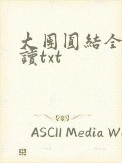 大团圆结全文阅读txt
