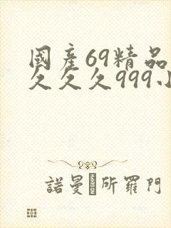 国产69精品久久久久999小说