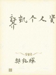 许凯个人资料简介