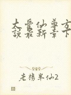 大爱仙尊方源小说最新章下载