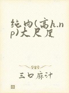 纯肉(高h.np)大尺度