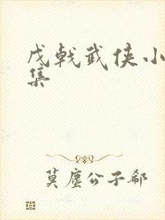 戊戟武侠小说全集