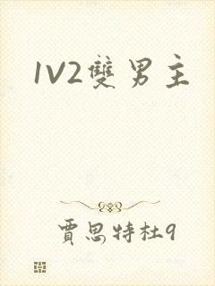 1V2双男主