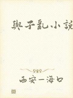 与子乱小说封面