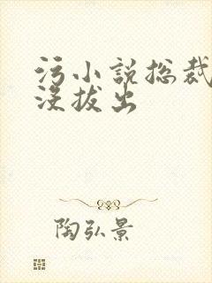 污小说总裁整夜没拔出封面