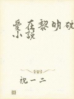 爱在黎明破晓前小说封面