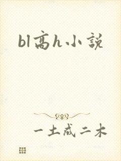 bl高h小说
