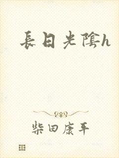 长日光阴h