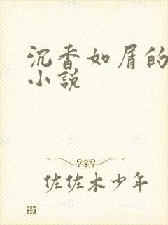 沉香如屑的原著小说封面