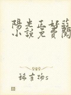 阳光正好苏玥玥小说免费阅读无弹窗