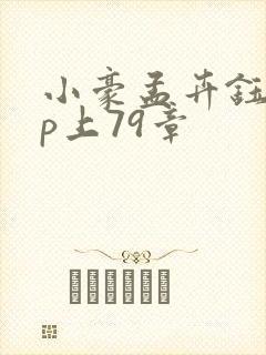 小豪孟卉钰慧三p上79章