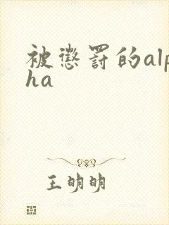 被惩罚的alpha