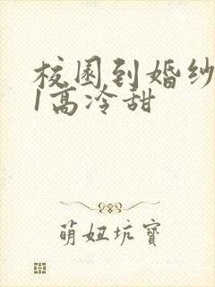 校园到婚纱1V1高冷甜封面