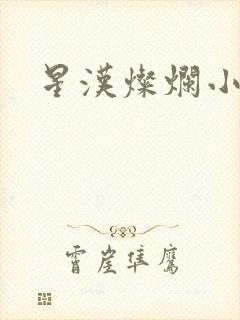 星汉灿烂小说