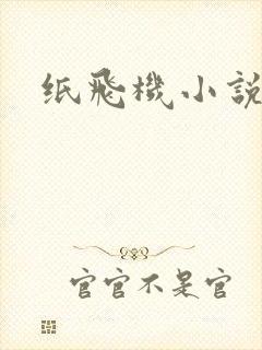 纸飞机小说
