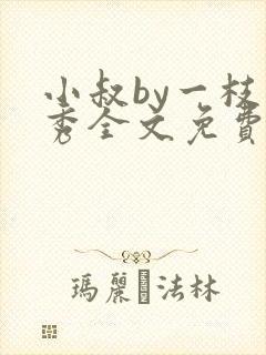 小叔by一枝独秀全文免费阅读笔趣阁最封面