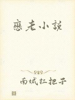 恋老小说