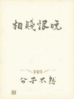 相贱恨晚封面