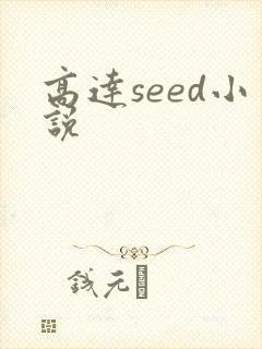 高达seed小说封面