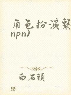 角色扮演系统(npn)