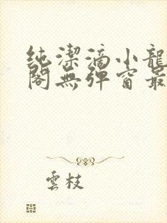 纯洁滴小龙笔趣阁无弹窗最新章节阅封面