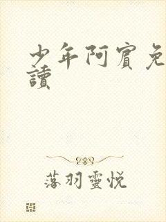少年阿宾免费阅读