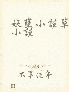 妖孽小说草莓酱小说