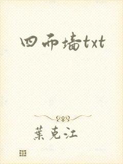 四面墙txt
