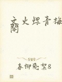 文火煨青梅笔趣阁封面