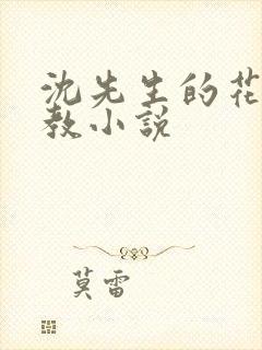 沈先生的花式调教小说封面