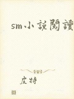 sm小说阅读