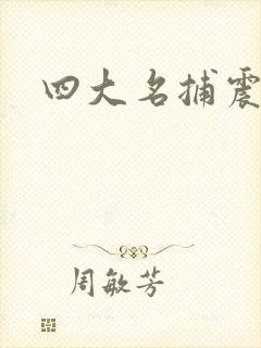 四大名捕震关东