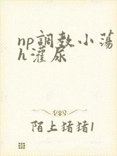 np调教小荡货h灌尿封面