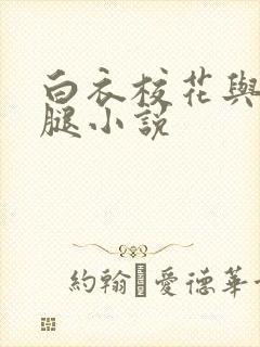 白衣校花与大长腿小说封面