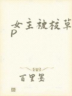 女主被校草们NP