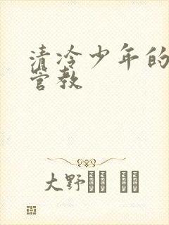 清冷少年的严厉管教封面