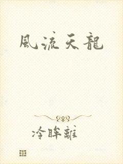 风流天龙封面