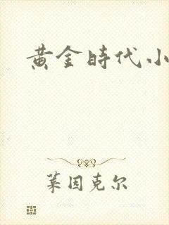 黄金时代小说