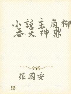 小说主角柳无邪 吞天神鼎