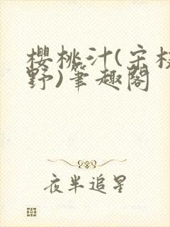 樱桃汁(宋枝江野)笔趣阁