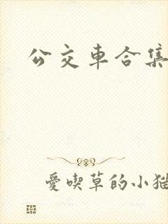 公交车合集
