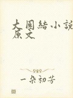 大团结小说阅读原文