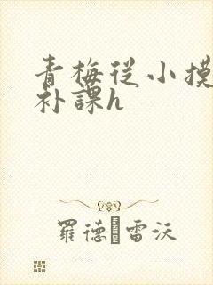 青梅从小摸到大补课h封面