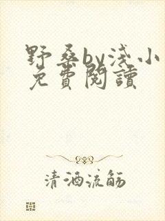 野桑by浅小说免费阅读