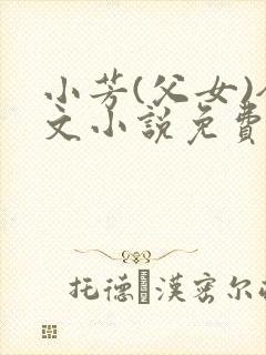 小芳(父女)全文小说免费阅读封面