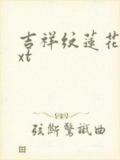 吉祥纹莲花楼txt封面