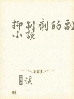 抑制剂的副作用小说封面